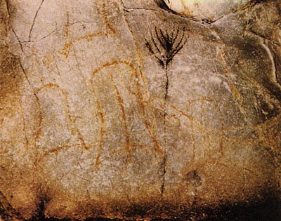Signos pintados en la pared de una cueva
