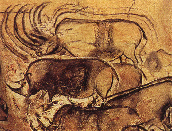 Rinocerontes (cueva de Vallon-Pont-d`Arc, Francia)