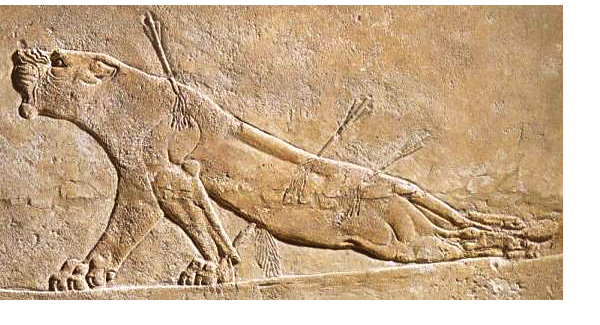 Leona herida (bajorrelieve asirio del palacio de Assurbanipal, en la ciudad de Nínive)