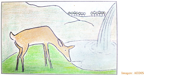 Dibujo de una gacela mirando su propio reflejo en el agua de un arroyo