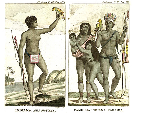 India arawak y familia de indios caribes (dibujos de John Gabriel Stedman)