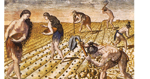 Hombres y mujeres indios, trabajando los cultivos de una hacienda
