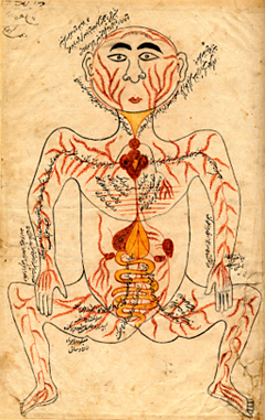 Página de un tratado árabe de Medicina